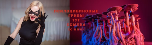 ПСИЛОЦИБИНОВЫЕ ГРИБЫ Алексеевка