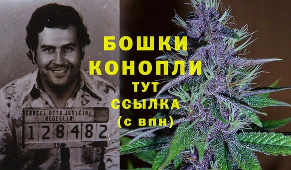 каннабис Алзамай
