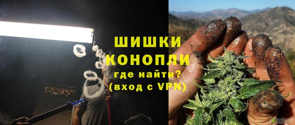 ПСИЛОЦИБИНОВЫЕ ГРИБЫ Алексеевка