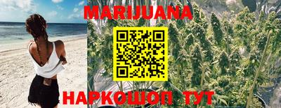 мяу мяу мука Бийск