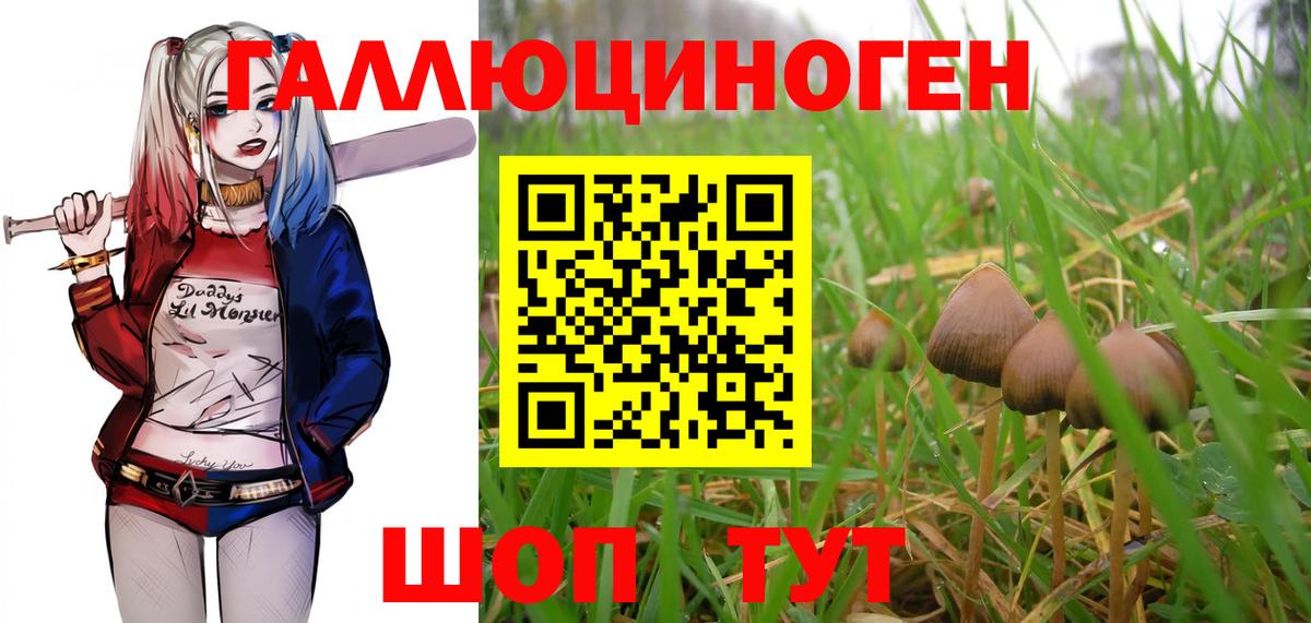 Джанкой  Псилоцибиновые грибы Psilocybe  Вход с VPN 
